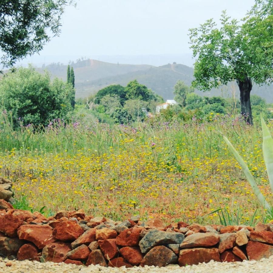 Quinta Das Piteiras-Turismo Rural Silves Extérieur photo